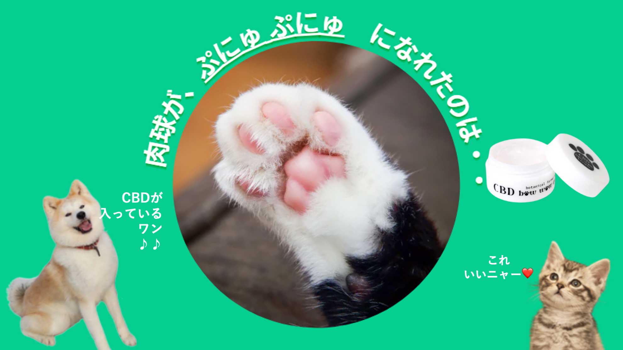 CBDの力で悩みをサポート