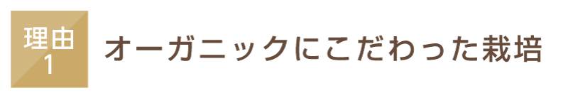 オーガニックにこだわった栽培
